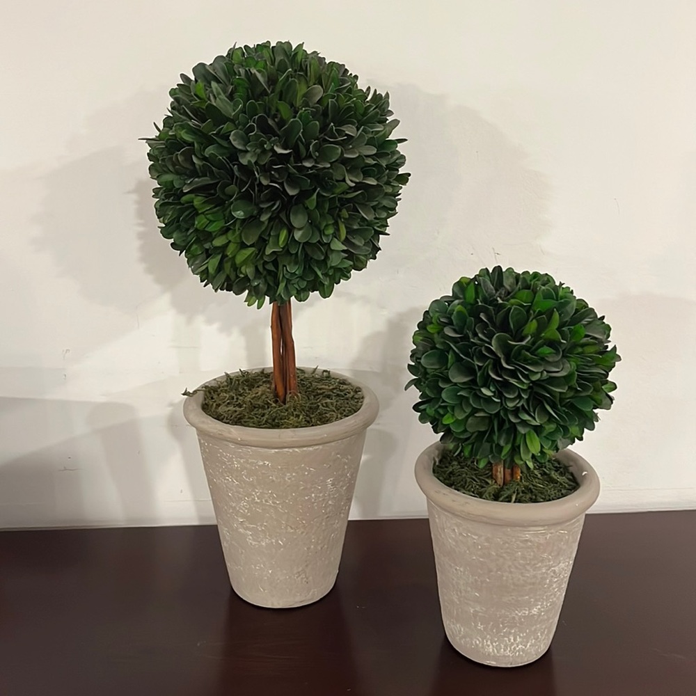 2-topiaries